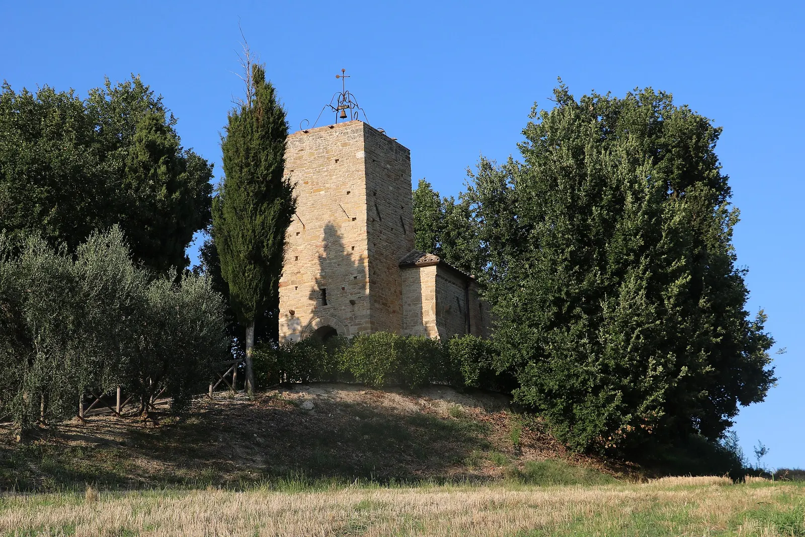 Torre medievale in mattoni e chiesa sulla collina di Belmonte Piceno circondate da cipressi e ulivi