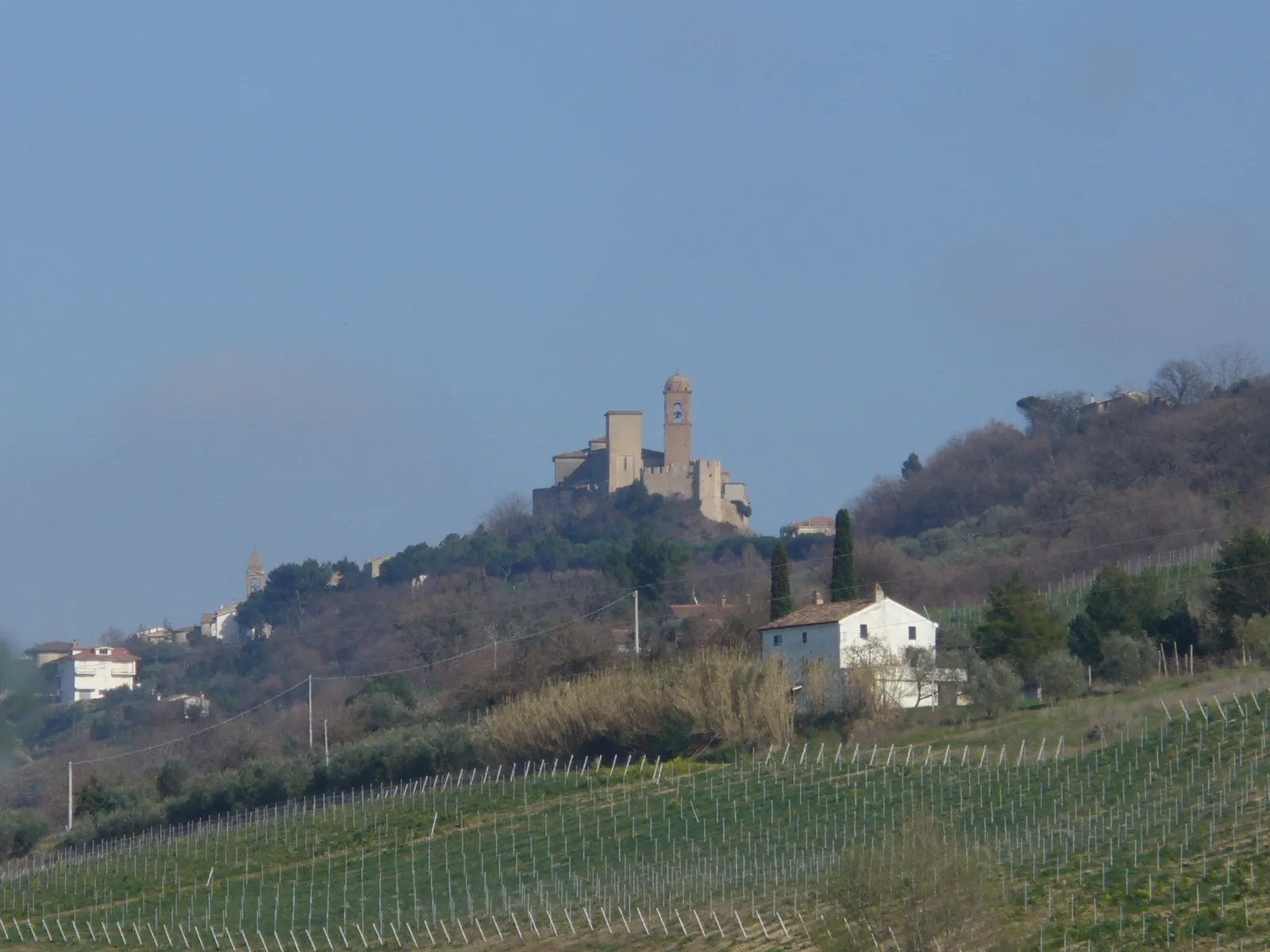Veduta di Campofilone con castello medievale su collina tra vigneti marchigiani