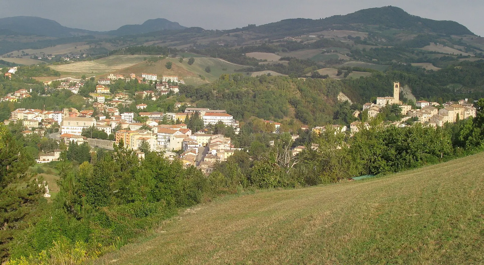 Veduta panoramica di Macerata Feltria tra colline verdi e boschi dell'Appennino marchigiano con torre campanaria