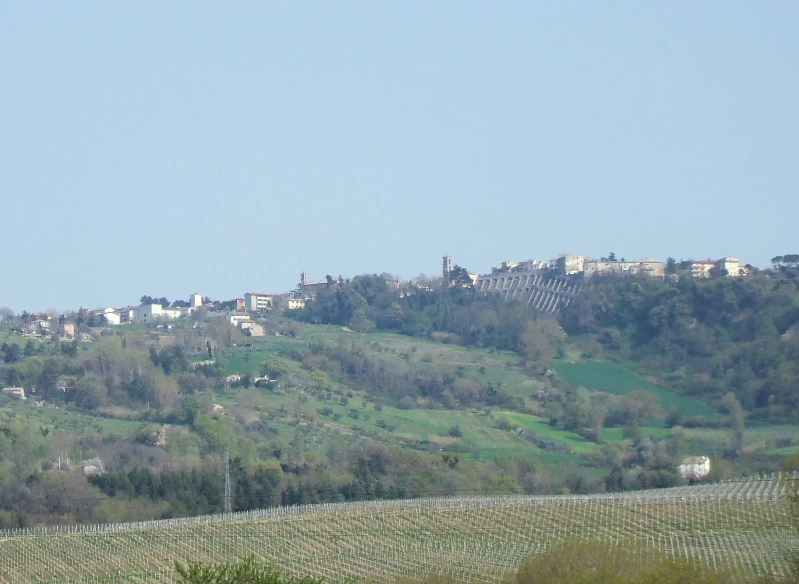 Panorama delle colline verdi e vigneti di Maiolati Spontini con borgo storico in provincia di Ancona