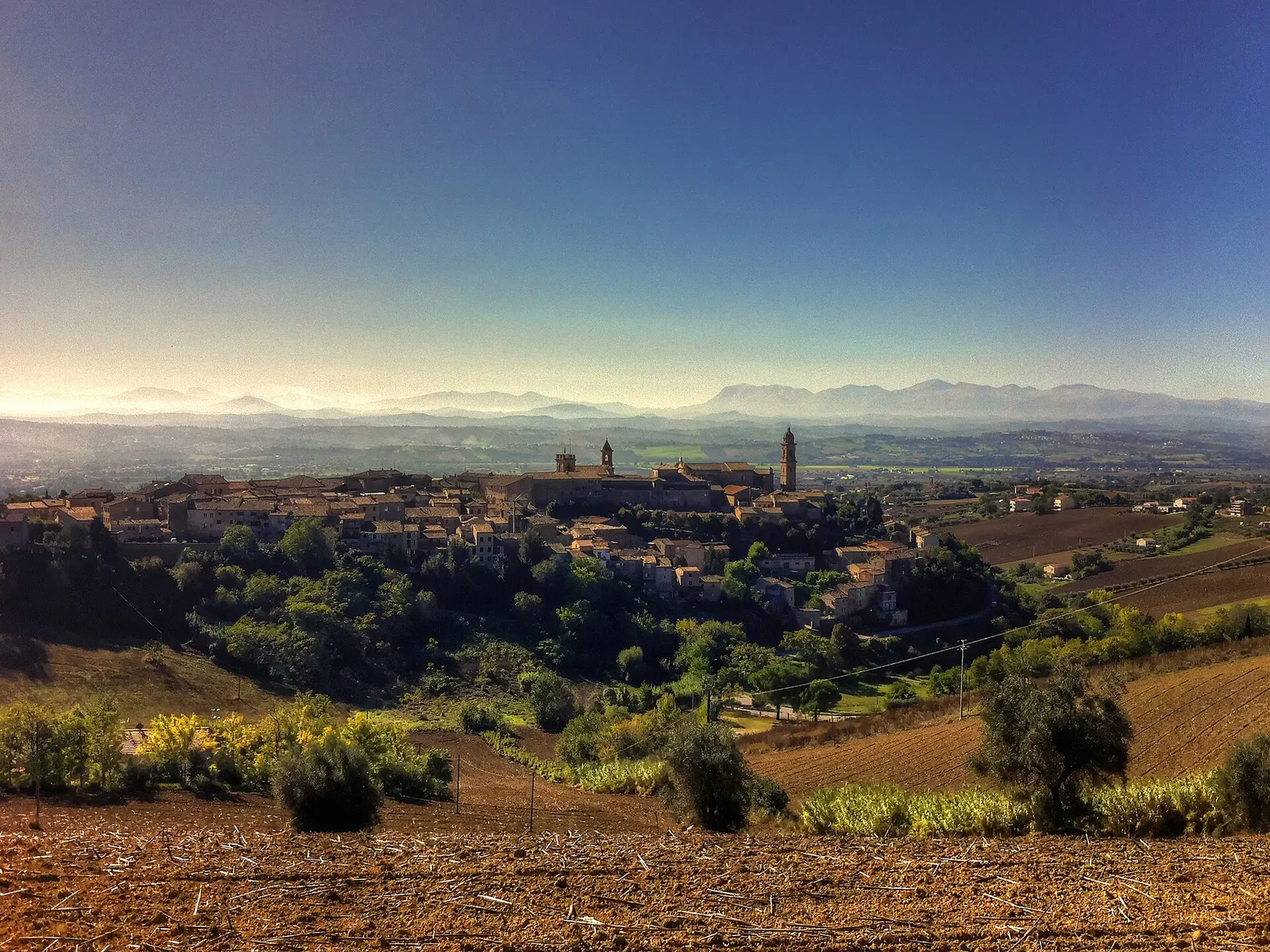Panorama del borgo medievale di Morrovalle su collina tra campagne coltivate e monti Sibillini sullo sfondo