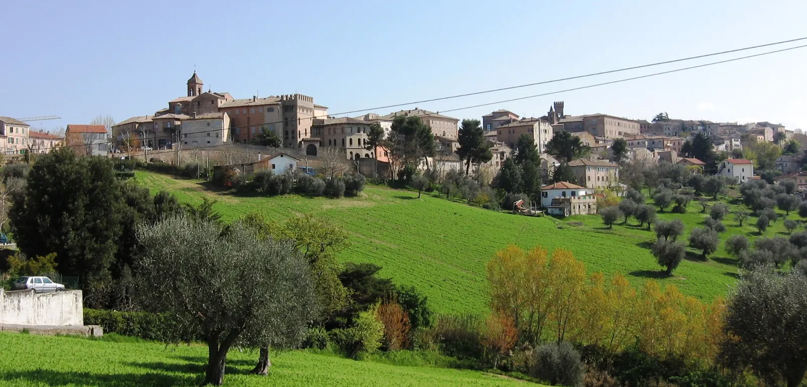 Panorama del centro storico di Ostra su collina con campanile e case tra campi verdi e ulivi marchigiani