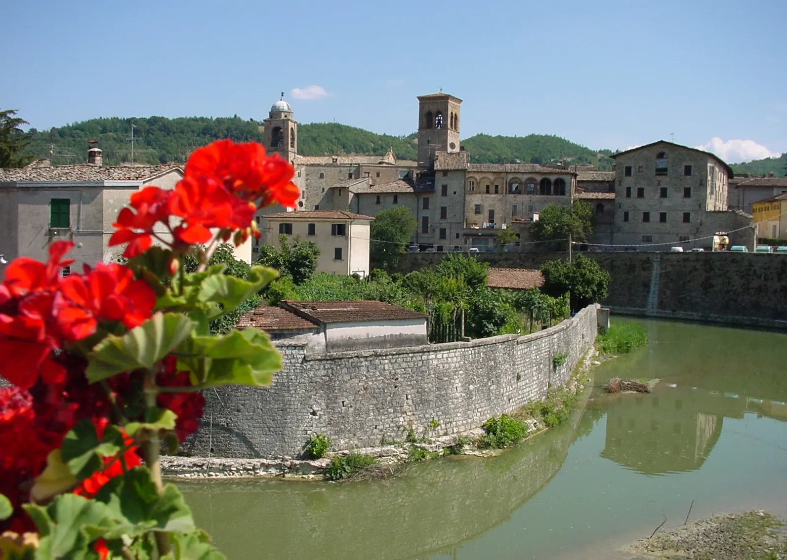 Gerani rossi in primo piano con vista sul centro storico di Sant'Angelo in Vado nelle Marche