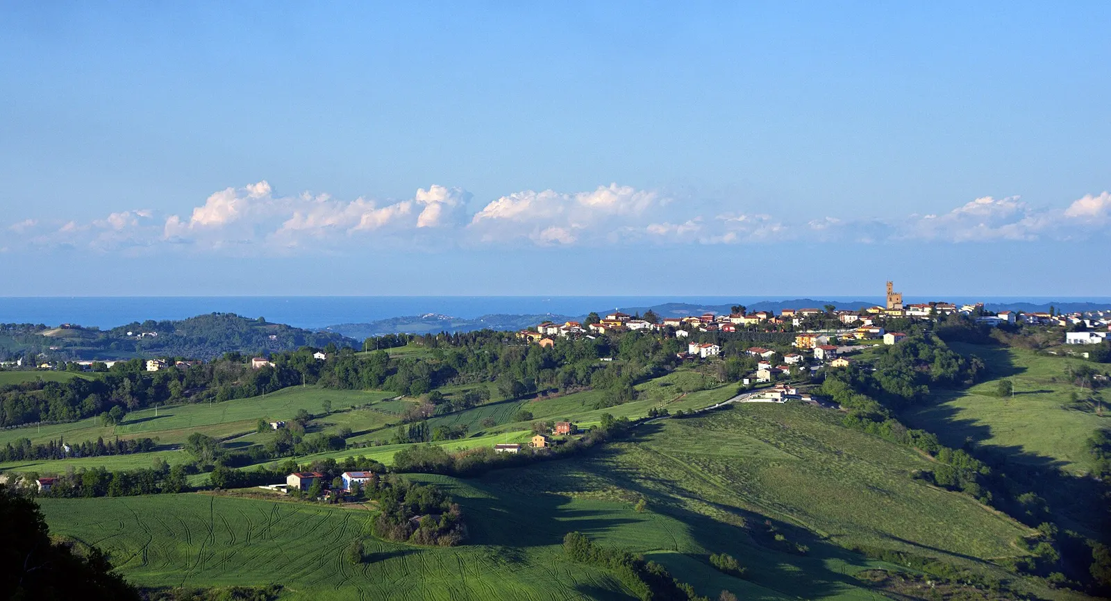 Panorama del borgo di Tavoleto su dolci colline verdi con vista sul mare Adriatico in provincia di Pesaro Urbino