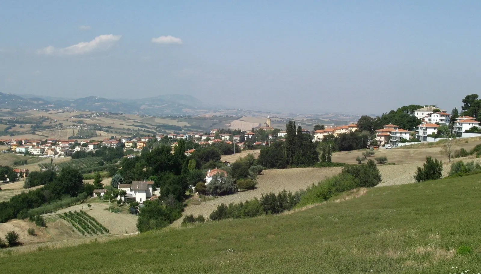 Panorama di Tavullia con colline marchigiane coltivate e case sparse tra il verde della campagna pesarese