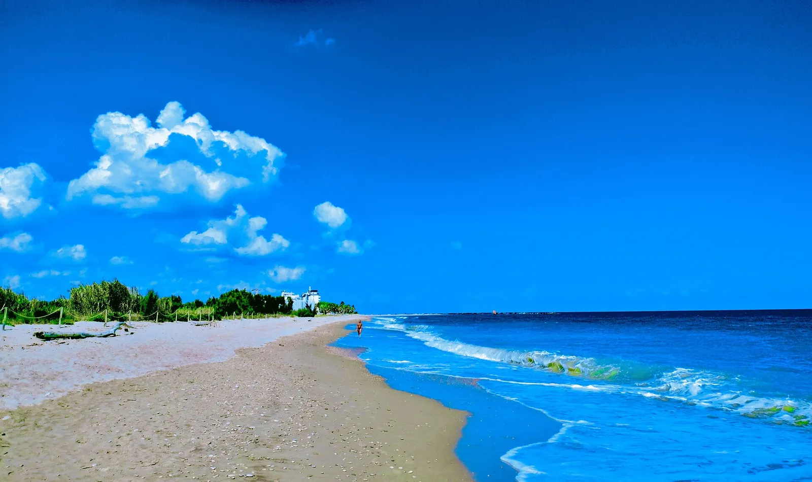 Spiaggia sabbiosa con mare blu intenso e vegetazione dunale della Riserva Naturale della Sentina