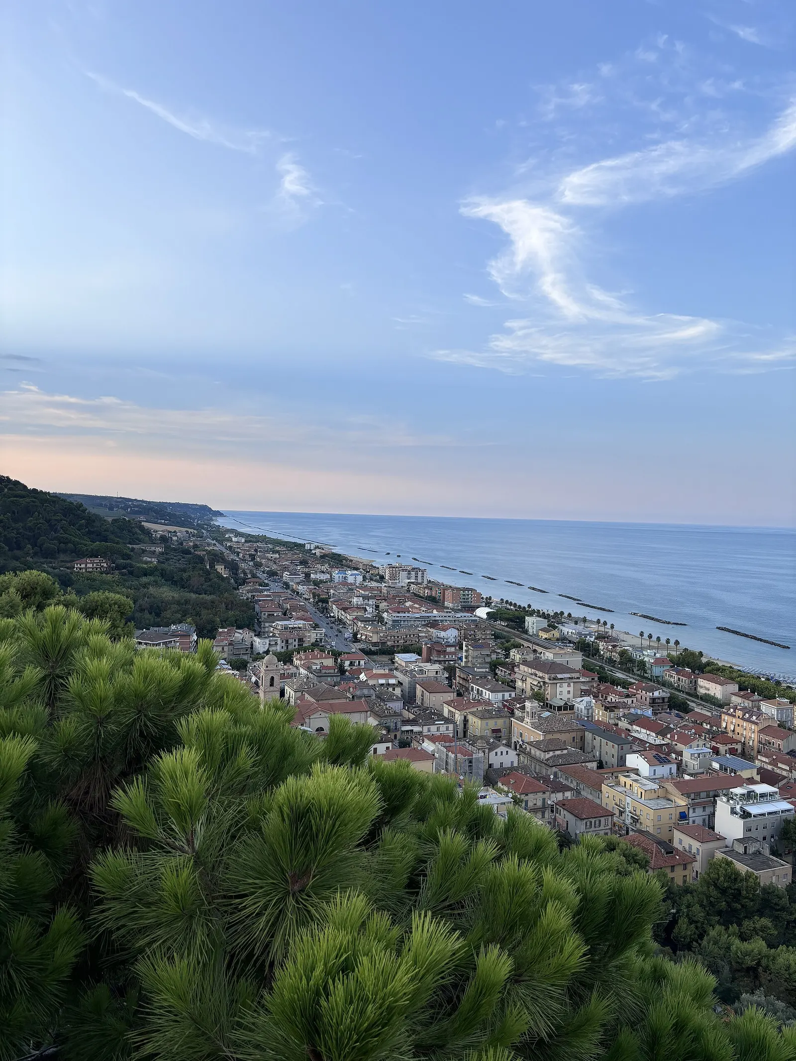 Vista panoramica di Cupra Marittima dall'alto con mare Adriatico, litorale e centro storico tra pini mediterranei