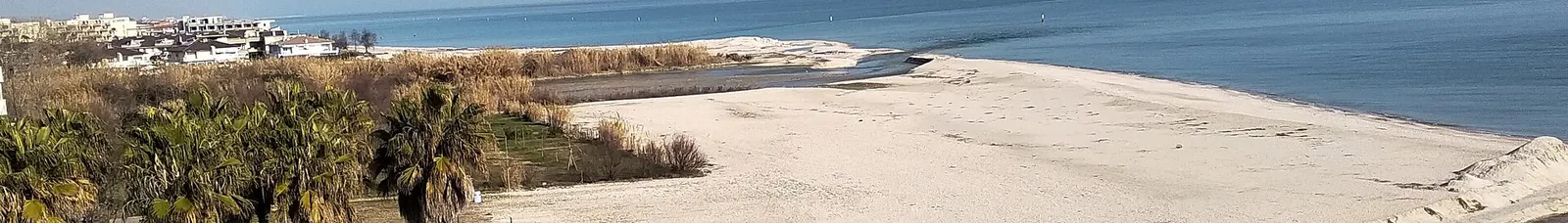 Spiaggia sabbiosa di Marina Palmense a Fermo con palme sulla costa adriatica delle Marche