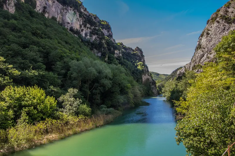 Gola del Furlo con fiume Candigliano tra pareti rocciose e vegetazione rigogliosa vicino ad Acqualagna