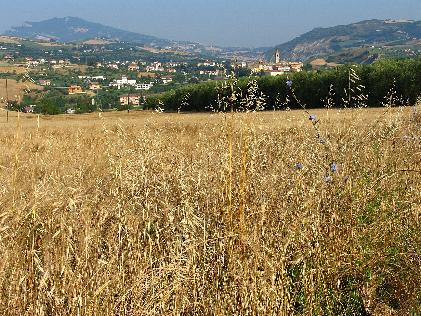 Appignano del Tronto – foto 2