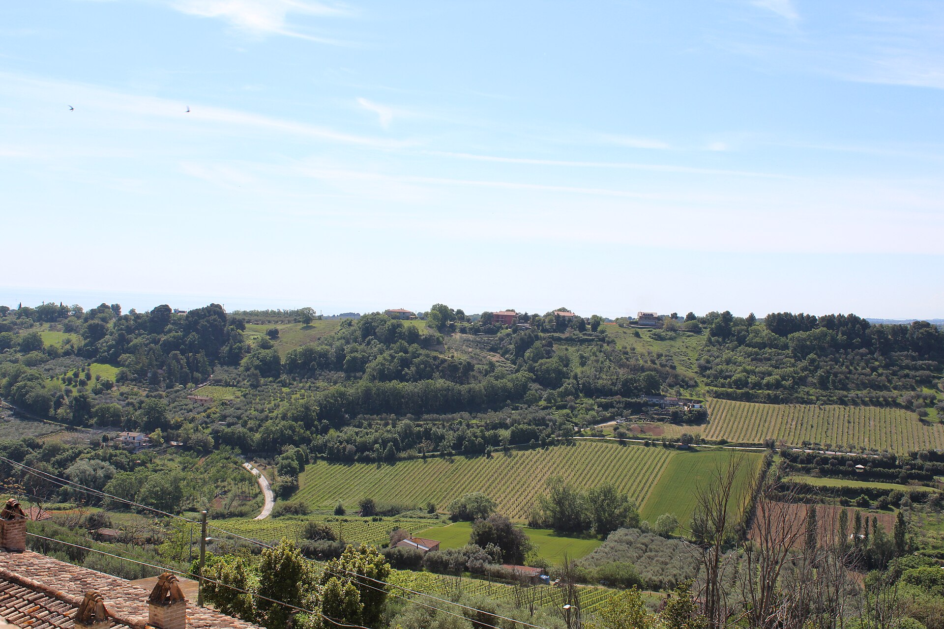 Campofilone – foto 4