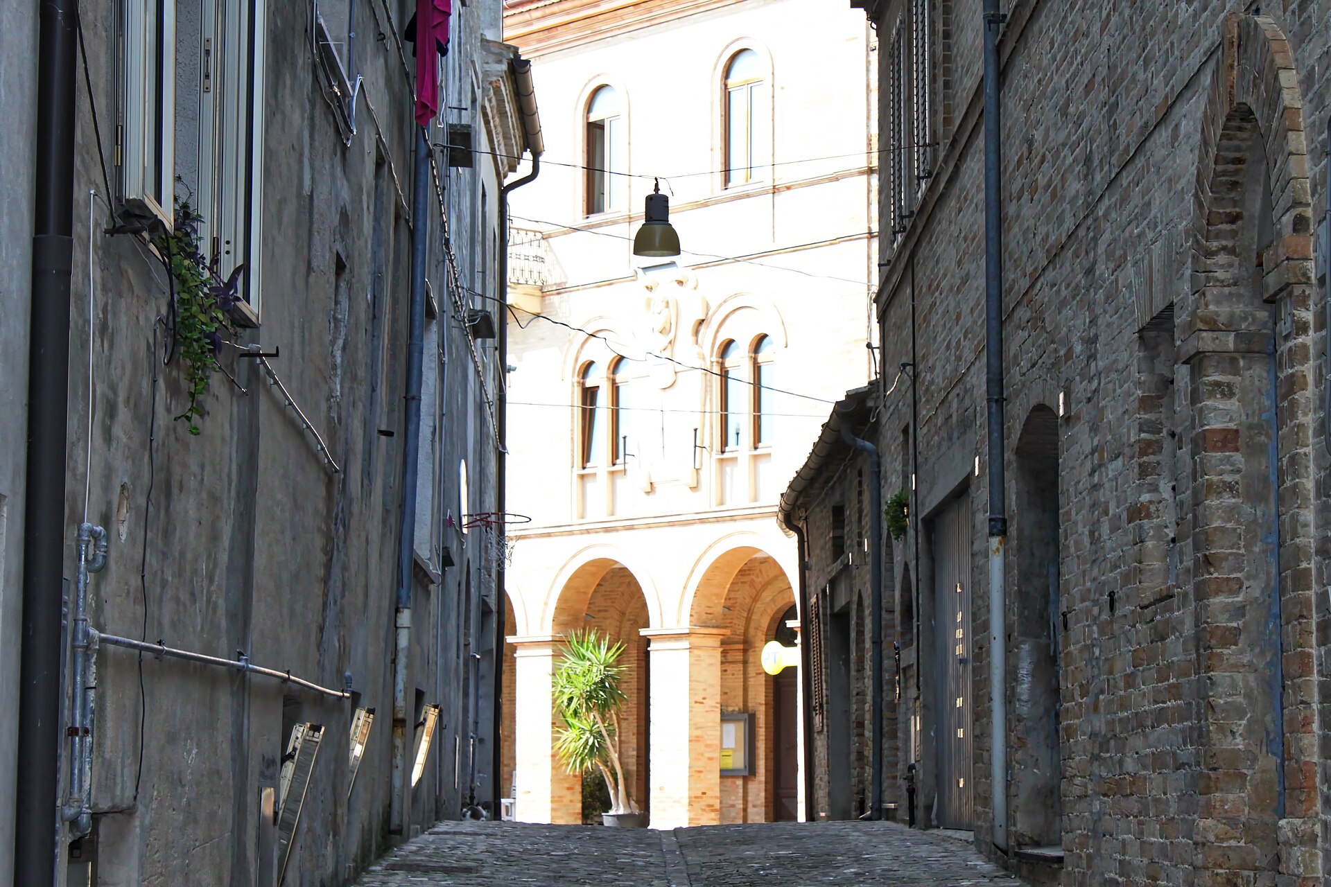 Carassai – foto 4