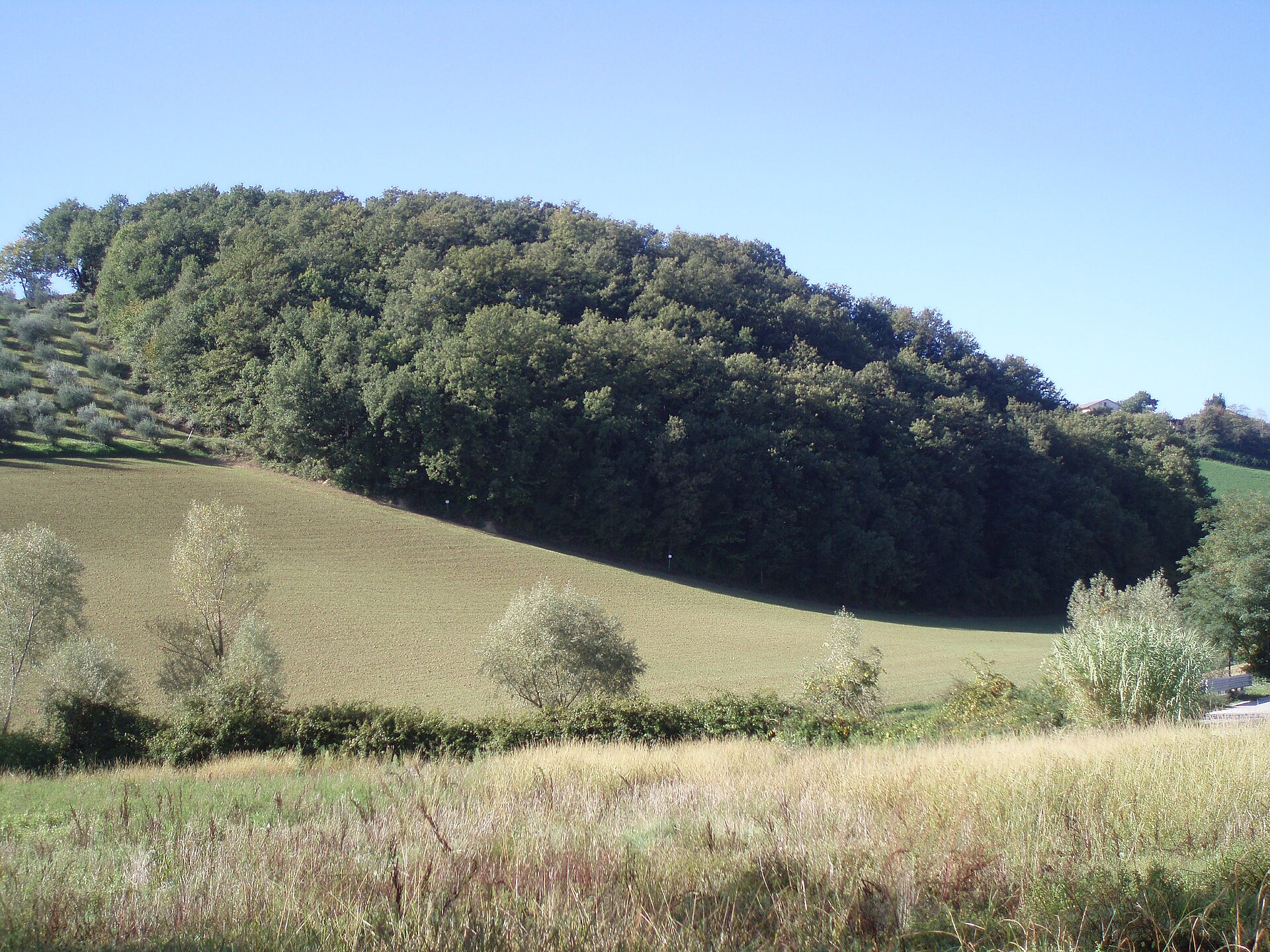 Castelleone di Suasa – foto 2