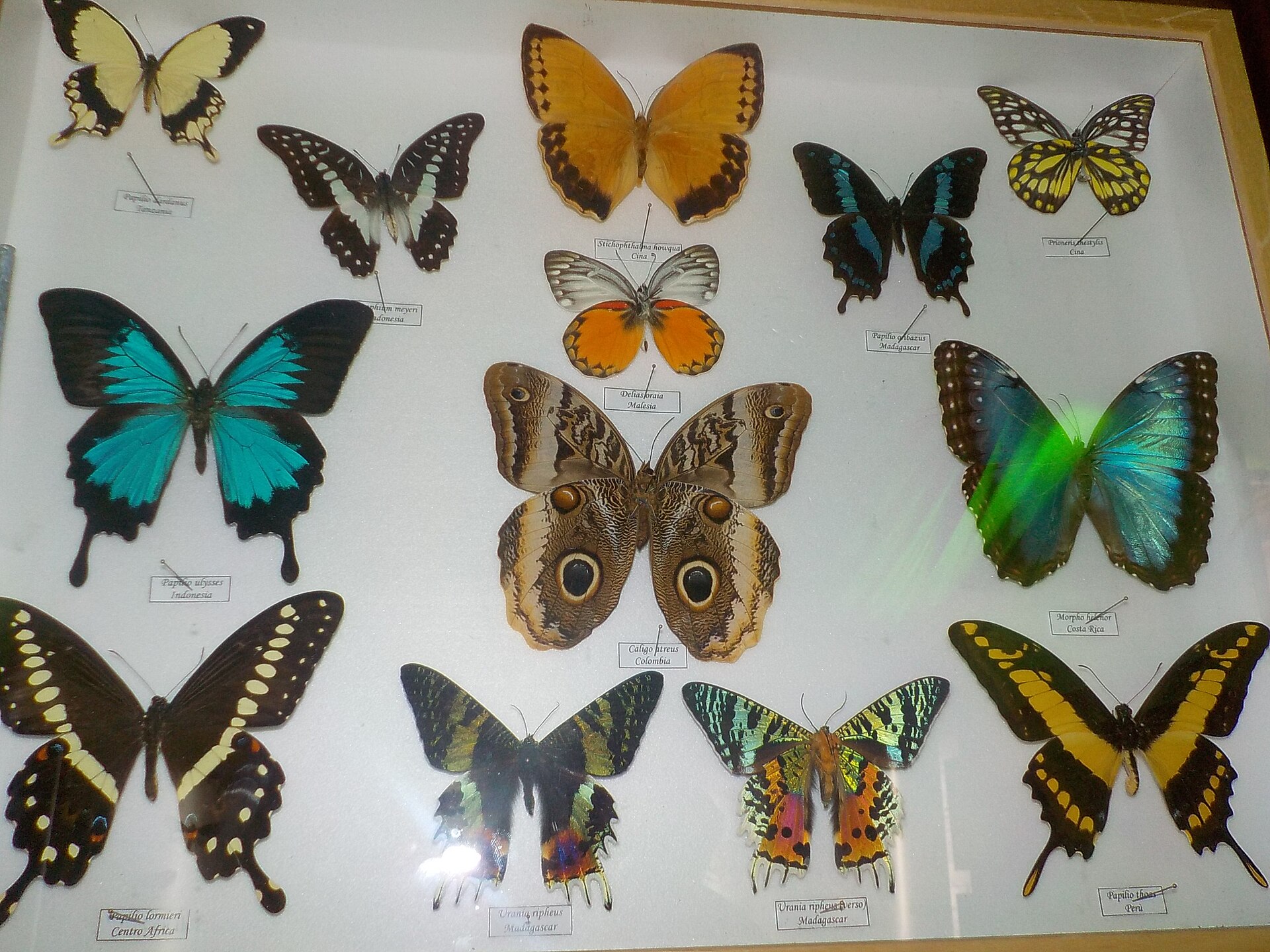 Cessapalombo – foto 1