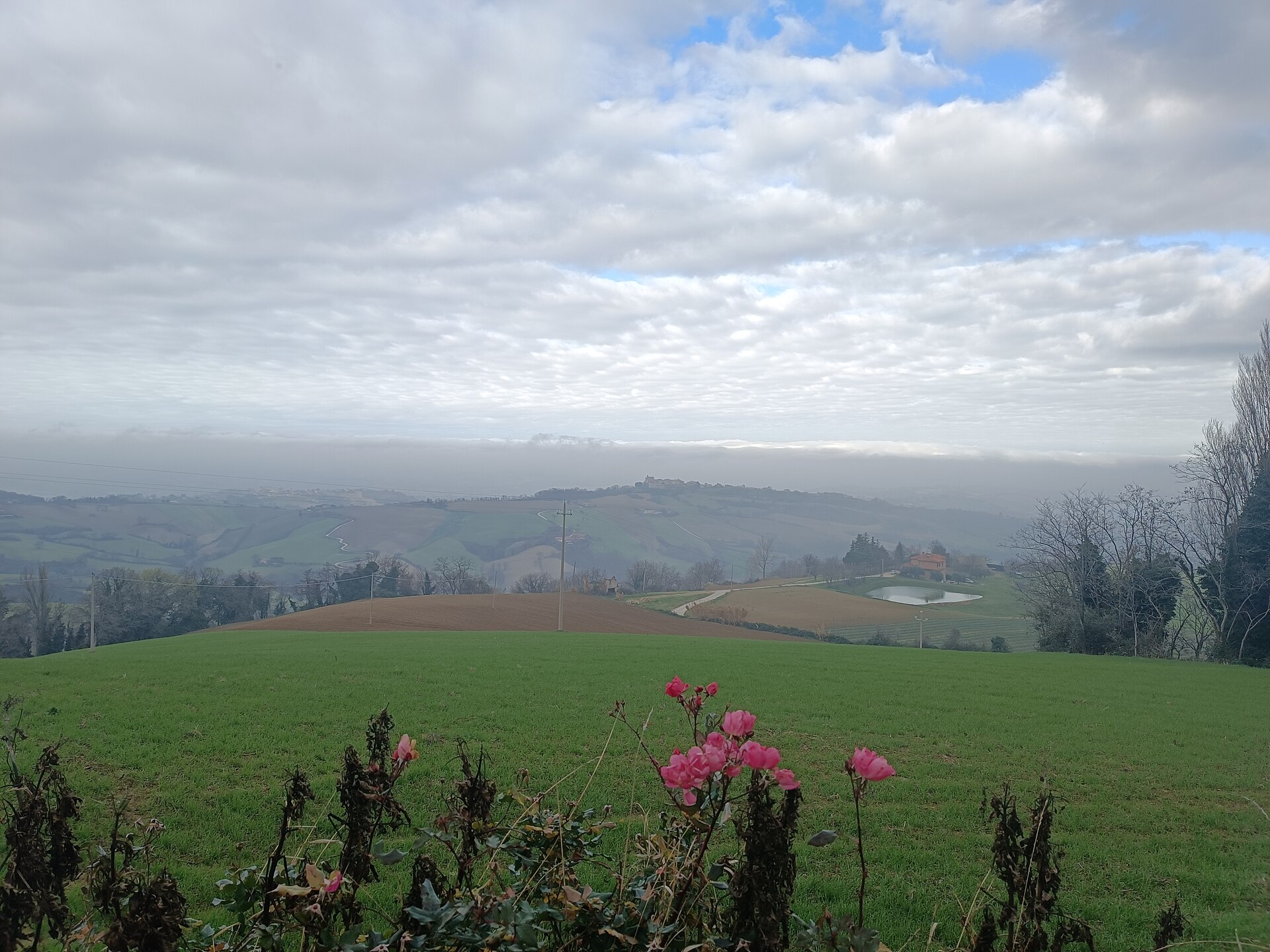Fratte Rosa – foto 3