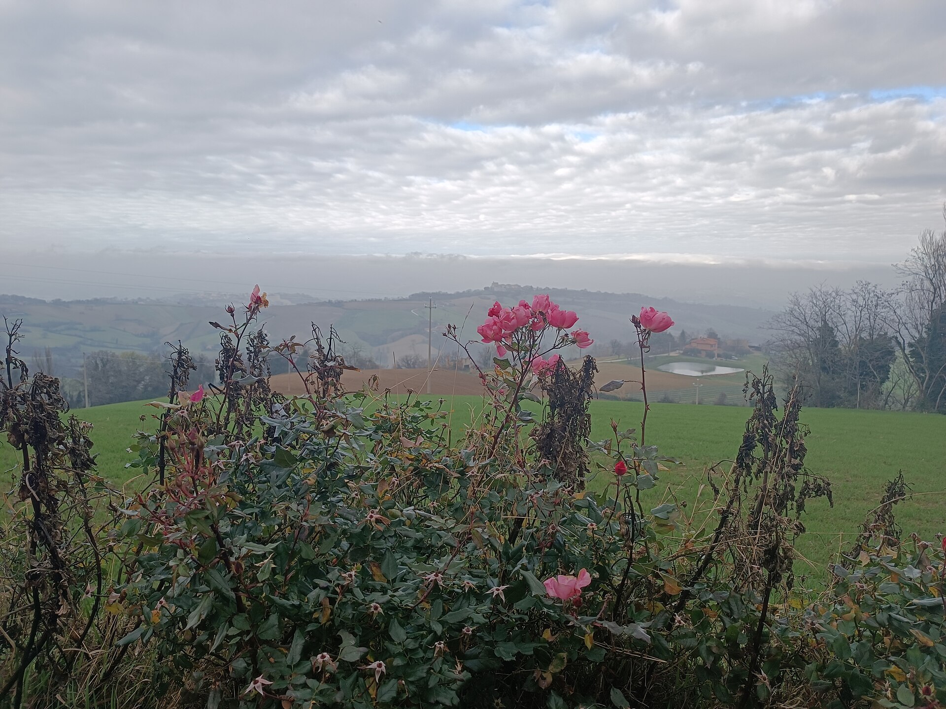 Fratte Rosa – foto 4