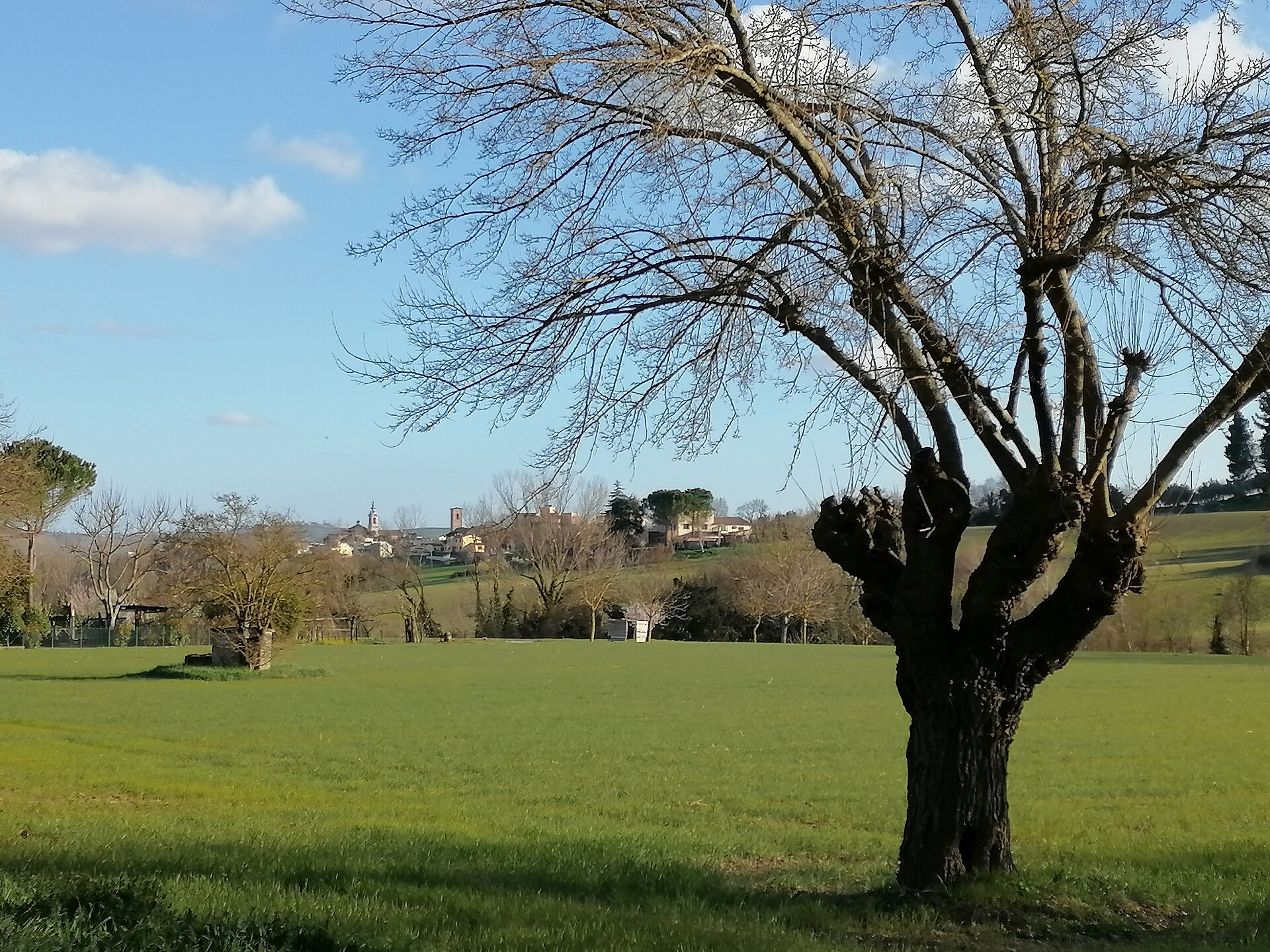 Jesi – foto 1