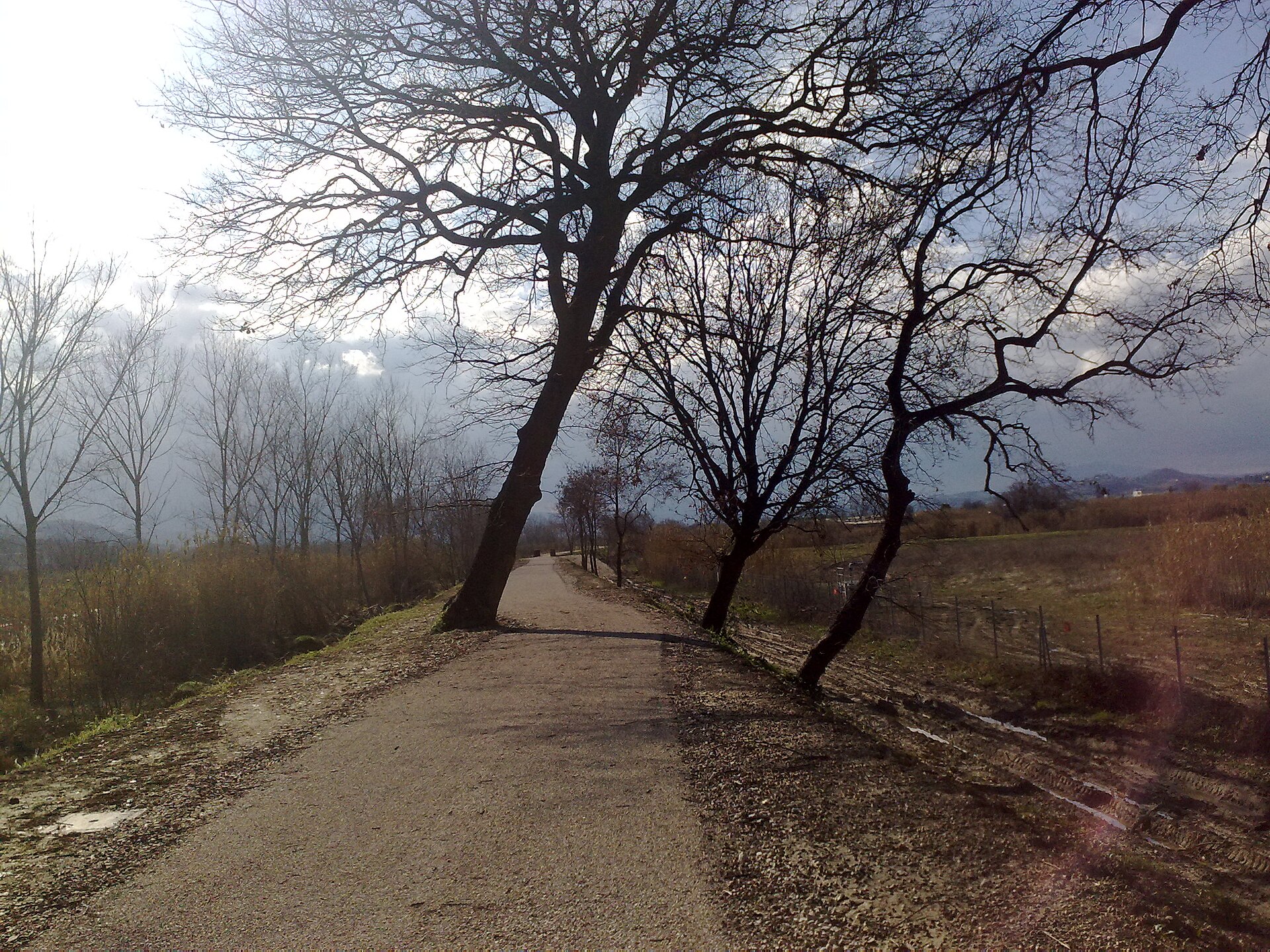 Monteprandone – foto 5