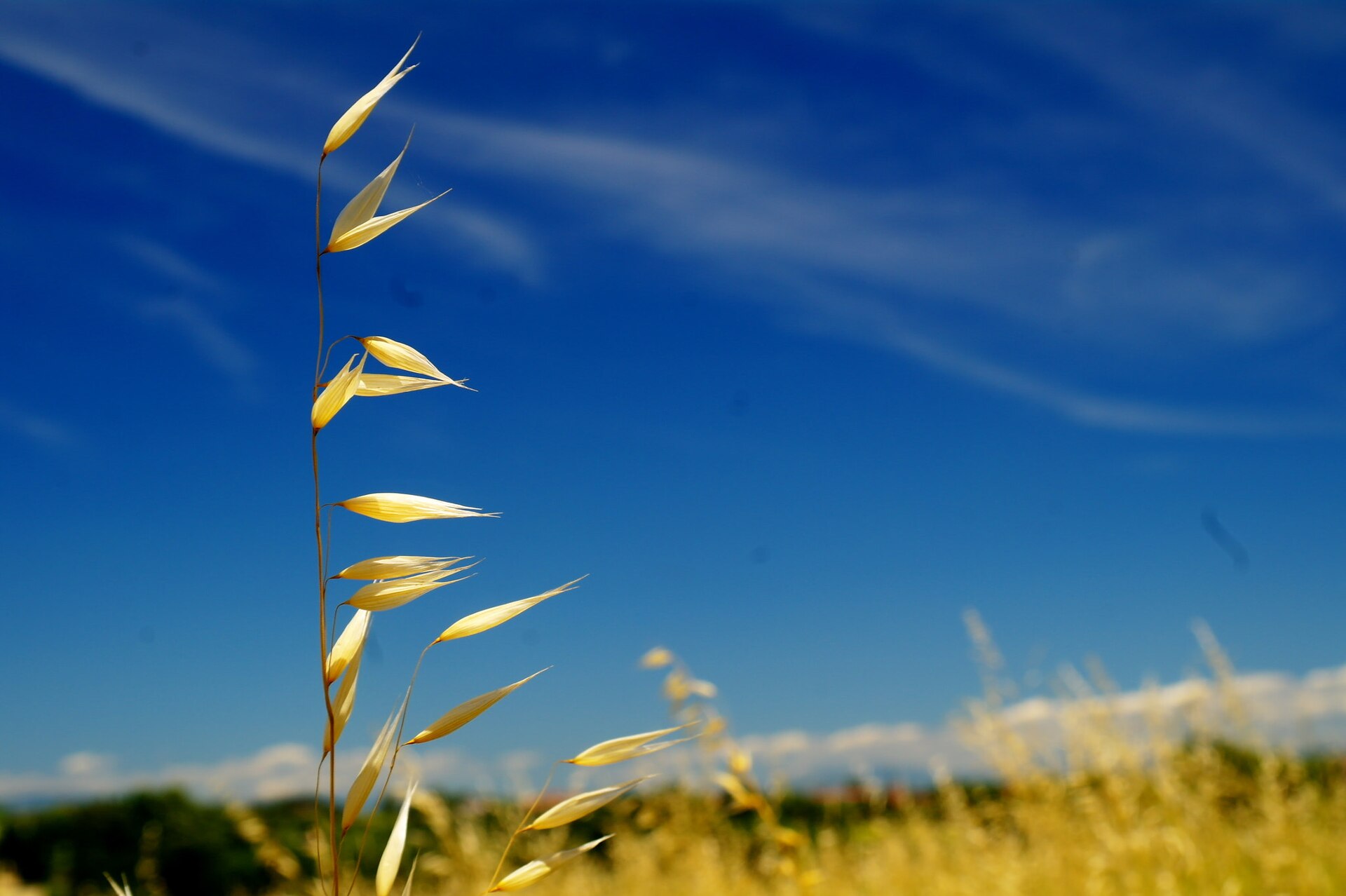 Monterubbiano – foto 1