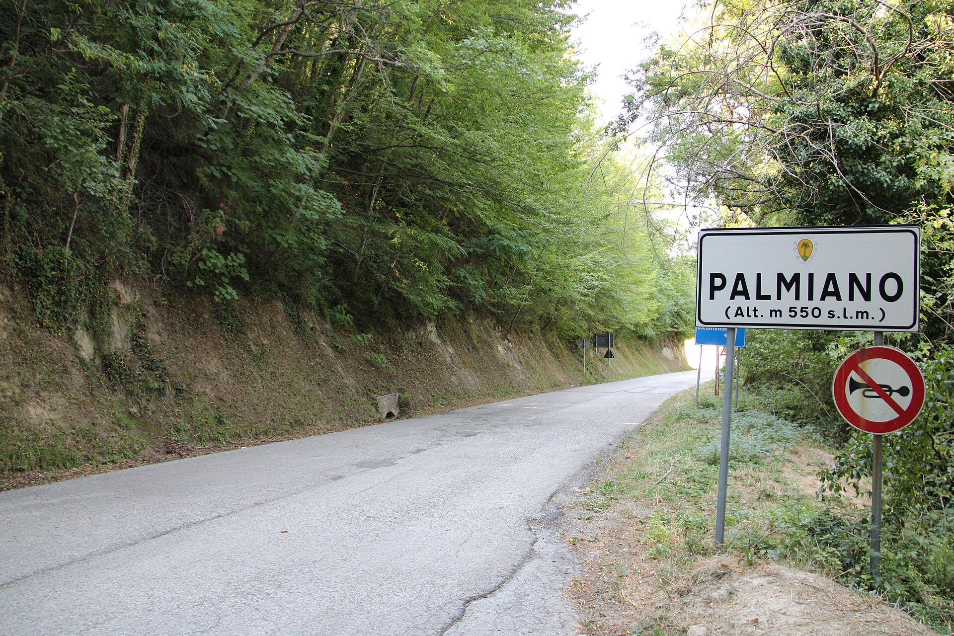 Palmiano – foto 1