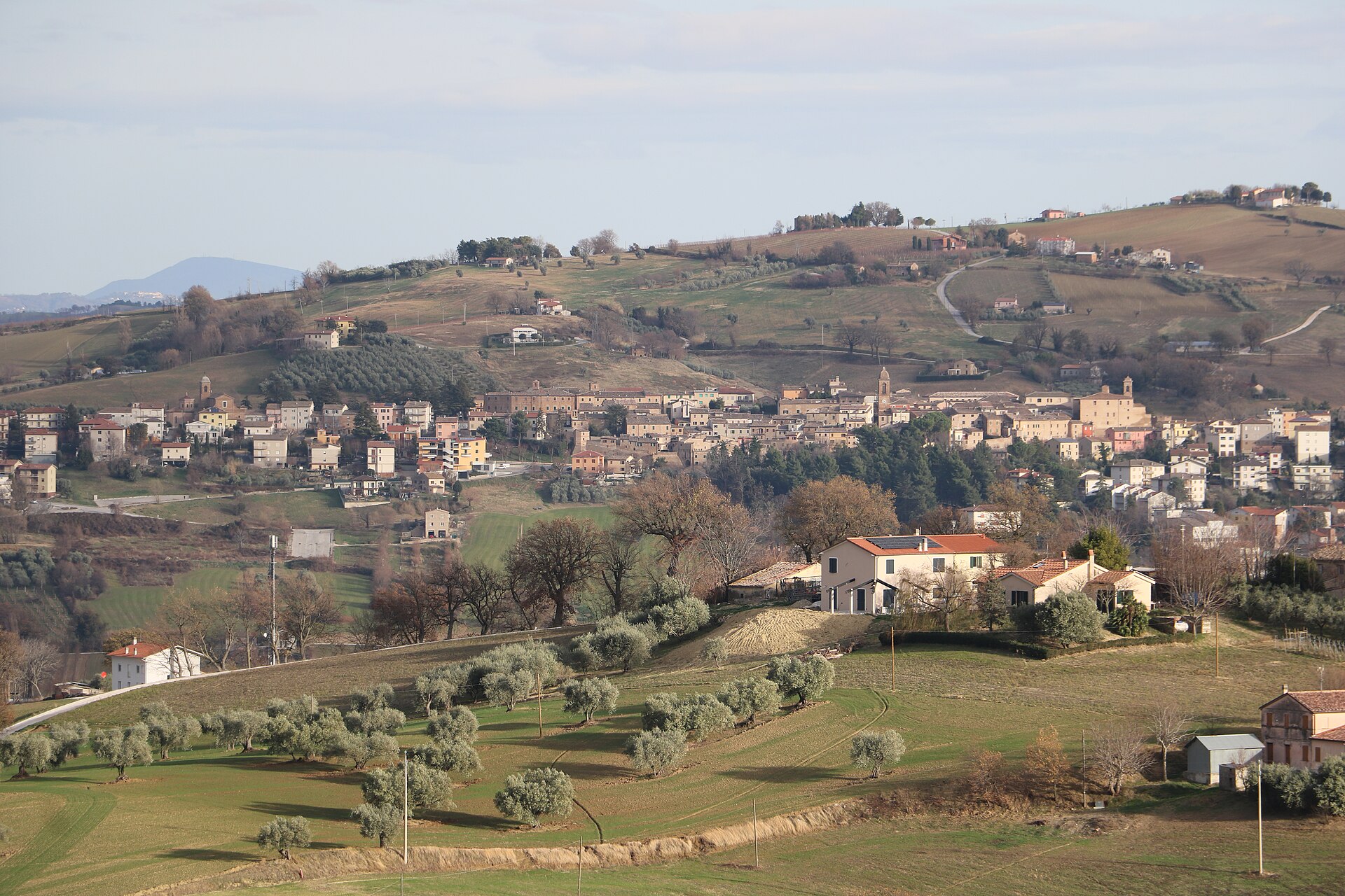 Serra de' Conti – foto 2