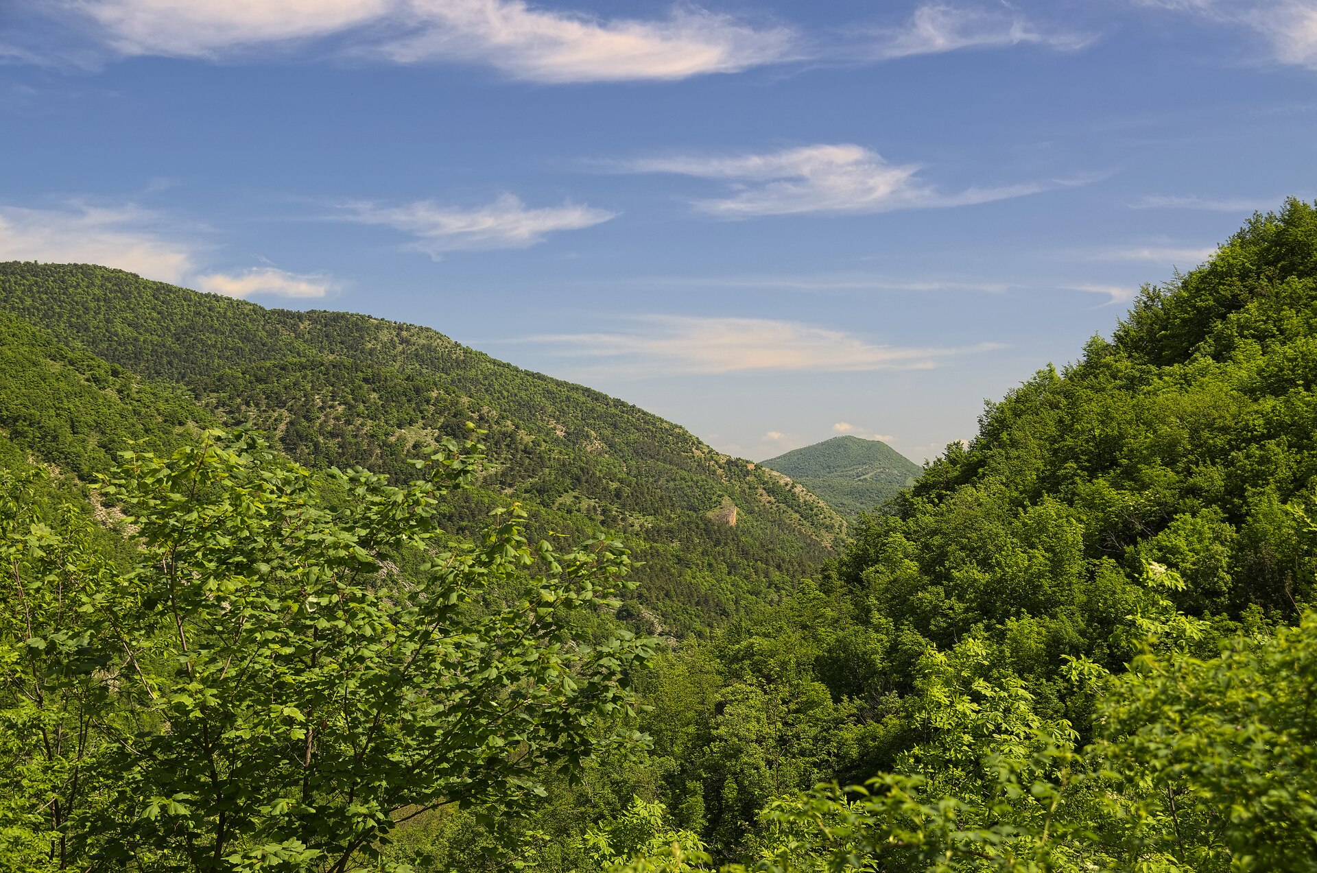 Serra Sant'Abbondio – foto 4