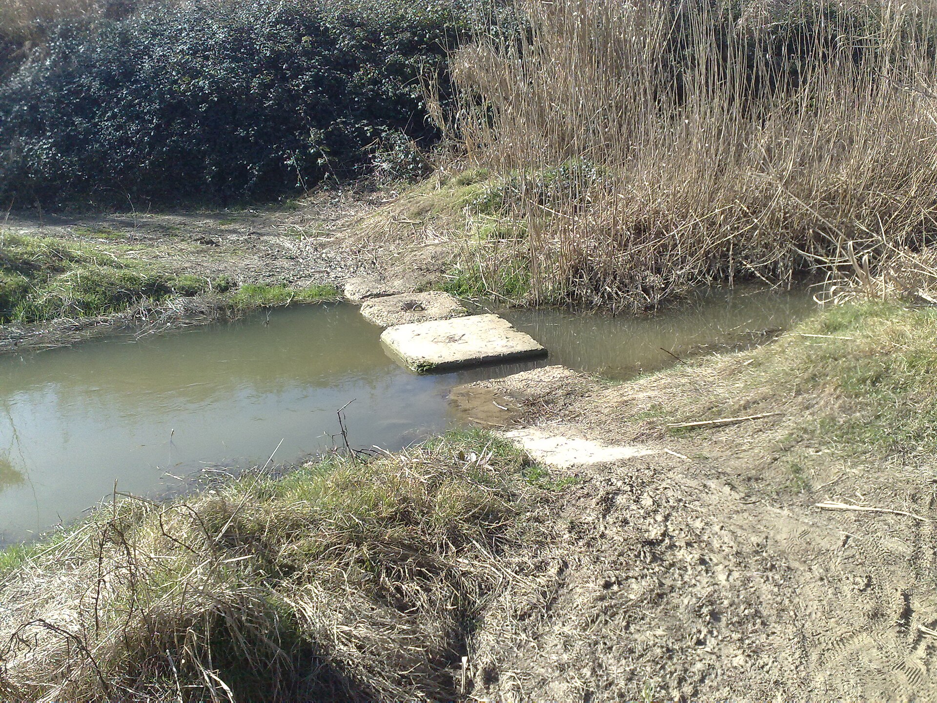 Spinetoli – foto 4