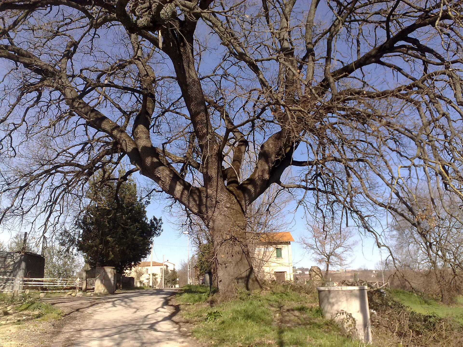 Spinetoli – foto 3